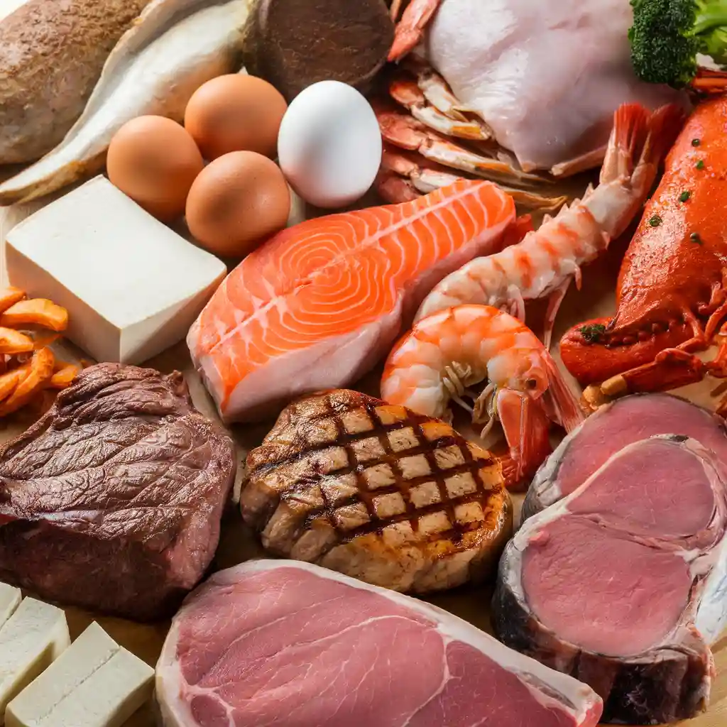 Protein Sources - Keto Diet